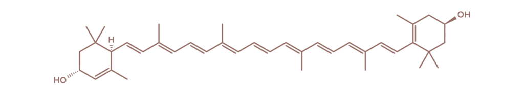 graficke znazorneni 03 lutein hnedy